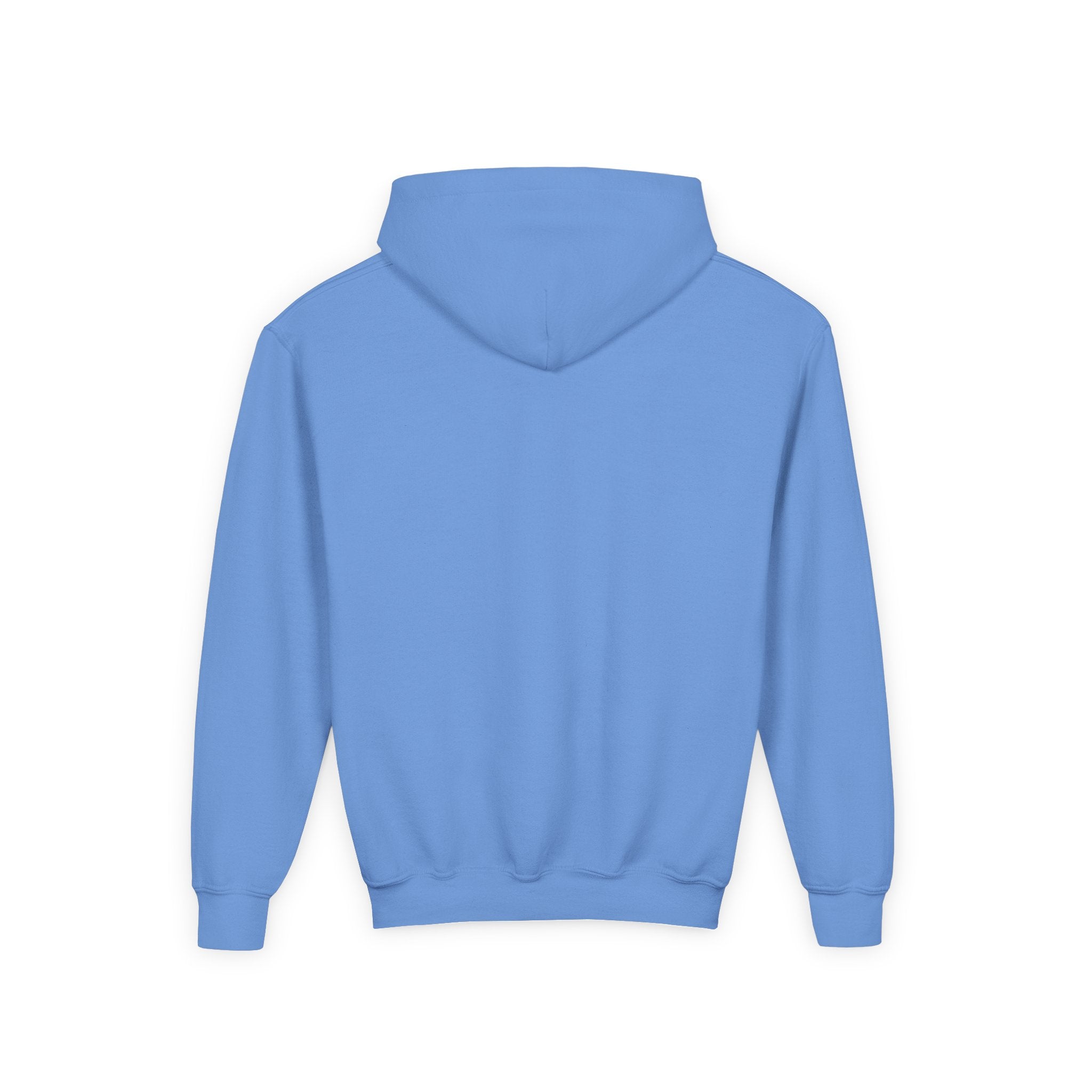 Earth: Love It or Lose It Kids Hoodie